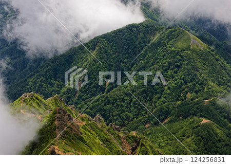 雲湧く八ヶ岳連峰・キレットへの縦走路 124256831