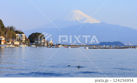 駿河湾から見た富士山 124256954