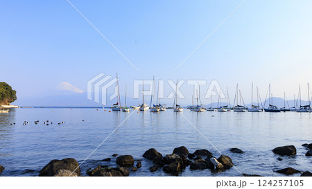 ヨットハーバーから見た富士山 124257105