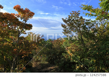 秋の紅葉の栗駒山 ( 東栗駒コース / いわかがみ平 から 東栗駒山 ) 秋の紅葉の栗駒山 ( 東栗駒コース / いわかがみ平 から 東栗駒山 ) 124257386