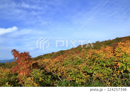 秋の紅葉の栗駒山 ( 東栗駒コース / いわかがみ平 から 東栗駒山 ) 124257396