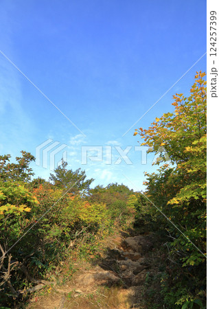秋の紅葉の栗駒山 ( 東栗駒コース / いわかがみ平 から 東栗駒山 ) 124257399