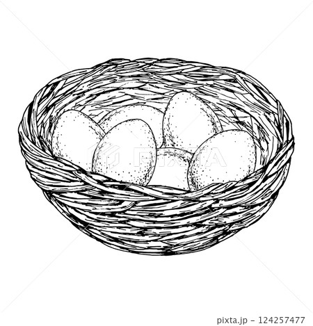 Black and white ink drawing of three pussy willow branches. Hand-drawn spring botanical illustration for seasonal cards, invitations, packaging, nature-themed designs, or religious celebration 124257477