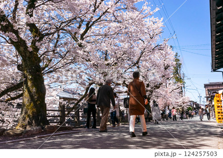 210411中橋桜z389 124257503