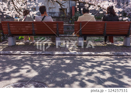 210411中橋桜z594 124257531