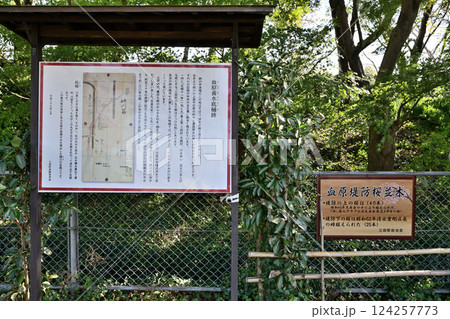 姉川古戦場跡 織田・徳川軍と浅井・朝倉軍それぞれの陣跡より 姉川古戦場跡 織田・徳川軍と浅井・朝倉軍それぞれの陣跡より 124257773
