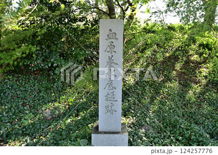 姉川古戦場跡 織田・徳川軍と浅井・朝倉軍それぞれの陣跡より 姉川古戦場跡 織田・徳川軍と浅井・朝倉軍それぞれの陣跡より 124257776