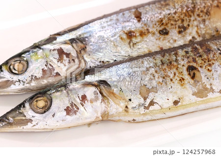 サンマの塩焼き　焼き魚　明るい背景 124257968