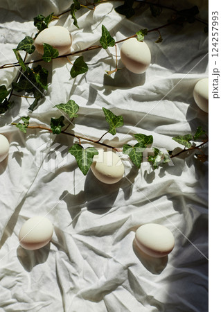 Spring nature decor with white eggs and fresh ivy leaves for Easter celebration 124257993