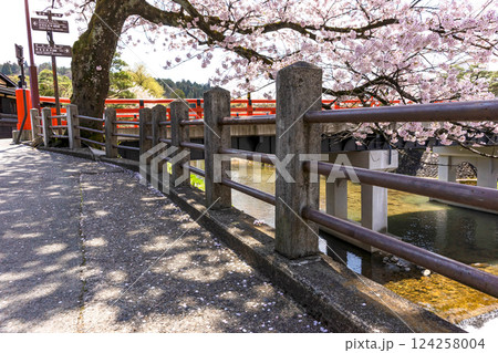 200427中橋桜z038 124258004