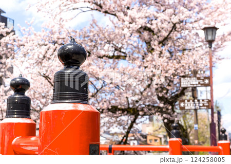 200427中橋桜z044 200427中橋桜z044 124258005