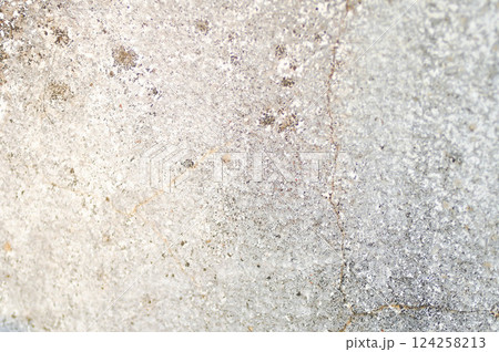 wall or fence, old wall or old fence or cement wall or gray wall , gray background or gray  floor or gray texture 124258213