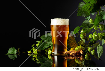 Beer, hops, and barley on a black background. 124258610