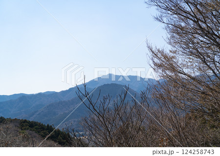 白山展望台から見た大山（白山順礼峠ハイキングコース） 124258743