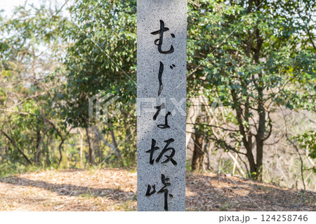 むじな坂峠(白山順礼峠ハイキングコース) むじな坂峠(白山順礼峠ハイキングコース) 124258746