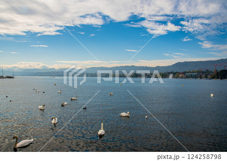 スイスの大自然ときれいな水源の景色 スイスの大自然ときれいな水源の景色 124258798