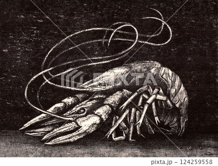 Two crayfish. lovers Two crayfish. lovers 124259558