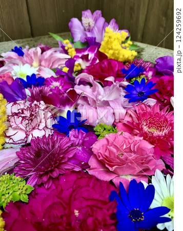 3月のカラフルな花手水(カーネーション・サイネリア・百合・菊・ミモザ)〈菅生神社/愛知県岡崎市〉 124259692