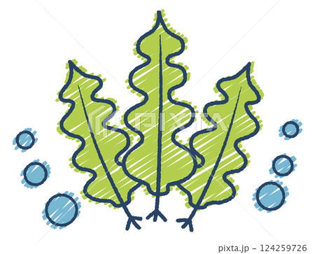 手書き風ワカメイラスト 124259726