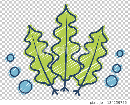 Hand-drawn seaweed illustration 124259726