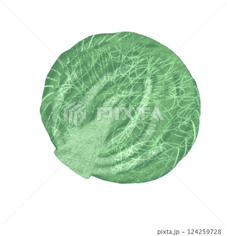 White cabbage, large, green, a handmade digital illustration isolated on a white background 124259728