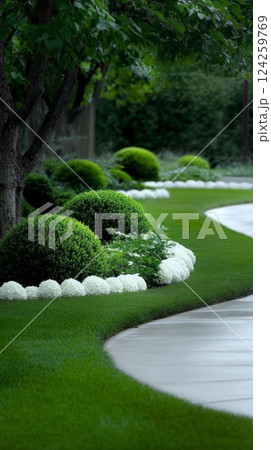 Beautifully manicured lawn with curved edges and rounded shrubs. A pristine and elegant garden design 124259769