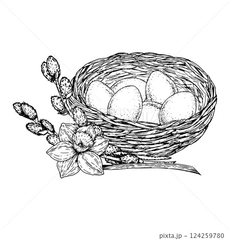 Hand drawn black and white ink illustration of a nest with eggs, decorated with blooming daffodil and pussy willow branches. Ideal for spring holidays, Easter cards, packaging, crafts, gardening theme 124259780