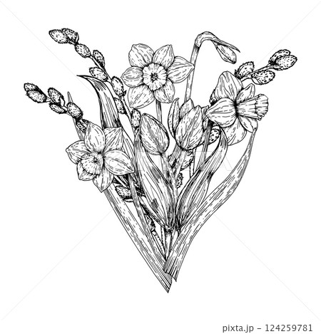 Detailed black and white hand drawn illustration of blooming daffodils and tulip buds with long leaves. Ink clip art is suitable for spring themes, floral books, botanical prints, garden projects. Detailed black and white hand drawn illustration of blooming daffodils and tulip buds with long leaves. Ink clip art is suitable for spring themes, floral books, botanical prints, garden projects. 124259781