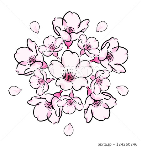 桜の花のボタニカルなイラスト 124260246