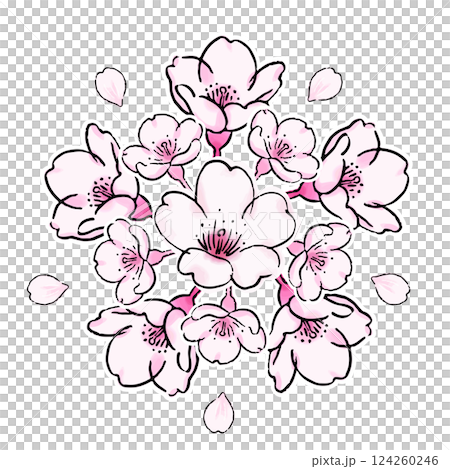 桜の花のボタニカルなイラスト 124260246