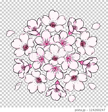 桜の花のボタニカルなイラスト 124260247