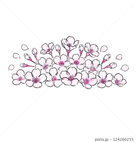 桜の花のボタニカルなイラスト 124260255