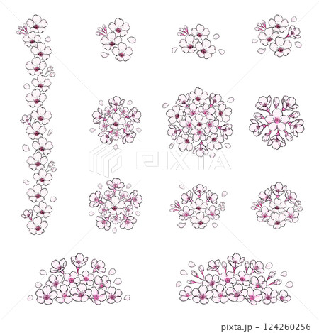 桜の花のボタニカルなイラスト　セット 124260256
