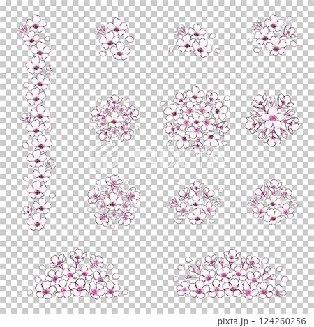 桜の花のボタニカルなイラスト　セット 124260256
