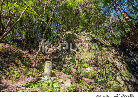 源氏の滝　交野八景　大阪府交野市 124260299