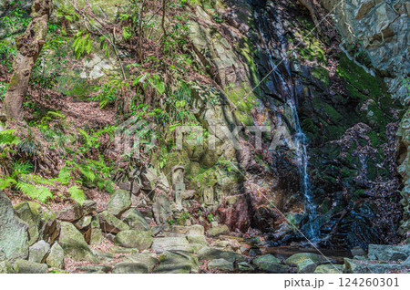 源氏の滝 交野八景 大阪府交野市 源氏の滝 交野八景 大阪府交野市 124260301