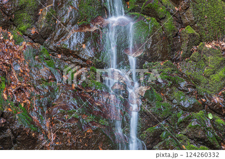 源氏の滝　交野八景　大阪府交野市 124260332