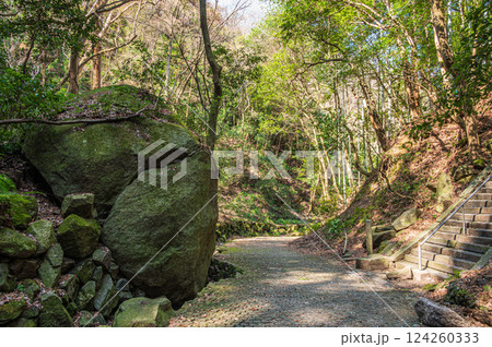 源氏の滝への道 交野八景 大阪府交野市 源氏の滝への道 交野八景 大阪府交野市 124260333