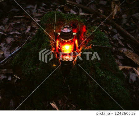癒されるランタンの灯 124260518