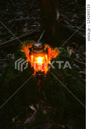癒されるランタンの灯 124260519