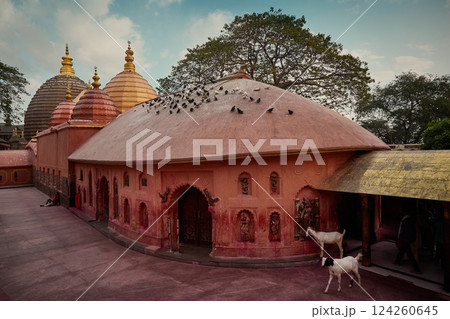 Maa Kamakhya Temple in Guwahati city of Assam state in India 124260645