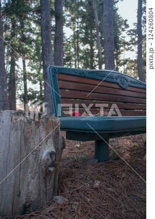 森の中の小さなベンチ 124260804