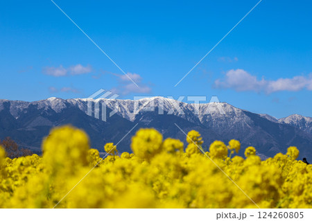 守山なぎさ第一公園 守山なぎさ第一公園 124260805