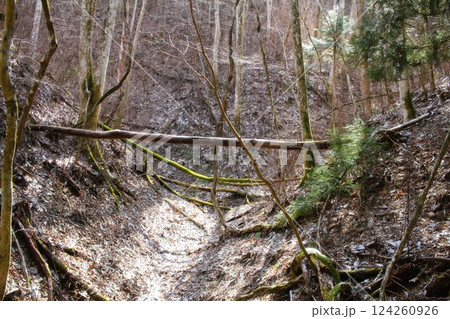 野営地 野営地 124260926