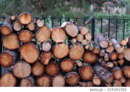 Firewood Stacked: Logs Ready for Winter Firewood Stacked: Logs Ready for Winter 124261382