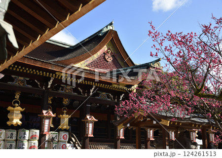 北野天満宮　拝殿と御神木「飛梅」 124261513