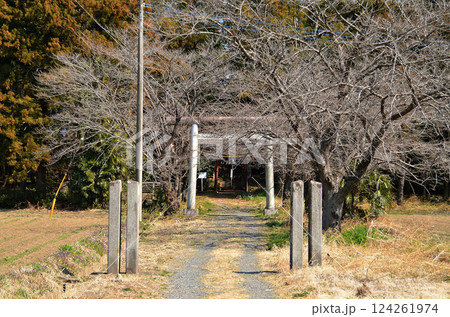 埼玉県鴻巣市滝馬室の氷川神社 124261974