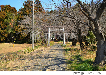埼玉県鴻巣市滝馬室の氷川神社 埼玉県鴻巣市滝馬室の氷川神社 124261976