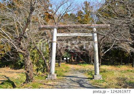 埼玉県鴻巣市滝馬室の氷川神社 埼玉県鴻巣市滝馬室の氷川神社 124261977