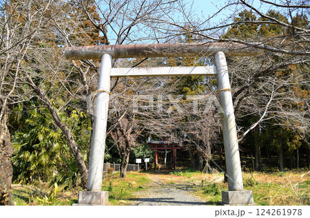 埼玉県鴻巣市滝馬室の氷川神社 埼玉県鴻巣市滝馬室の氷川神社 124261978